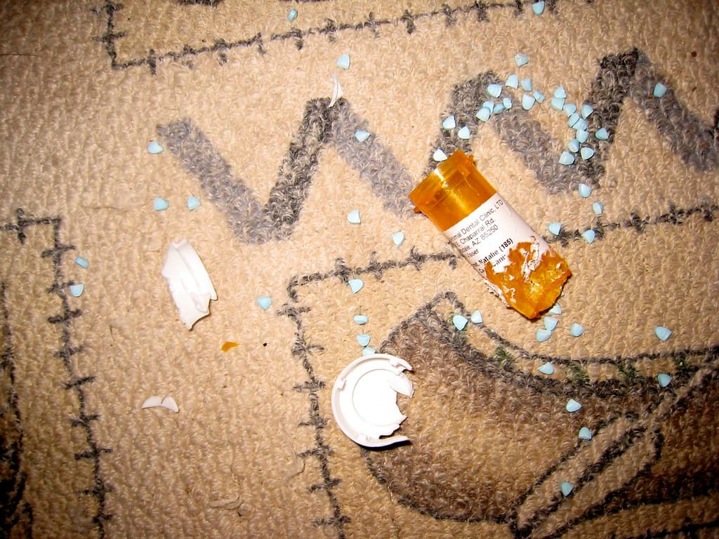 Dog Destruction