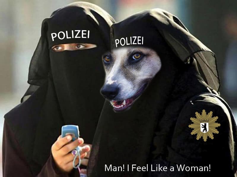 Police Dog In Germany