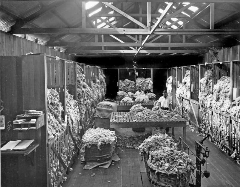 Wool classing room, c1926
