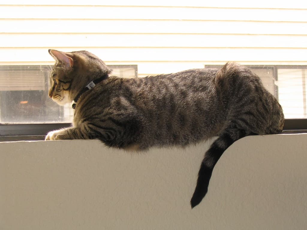 Radar lying on windowsill 2