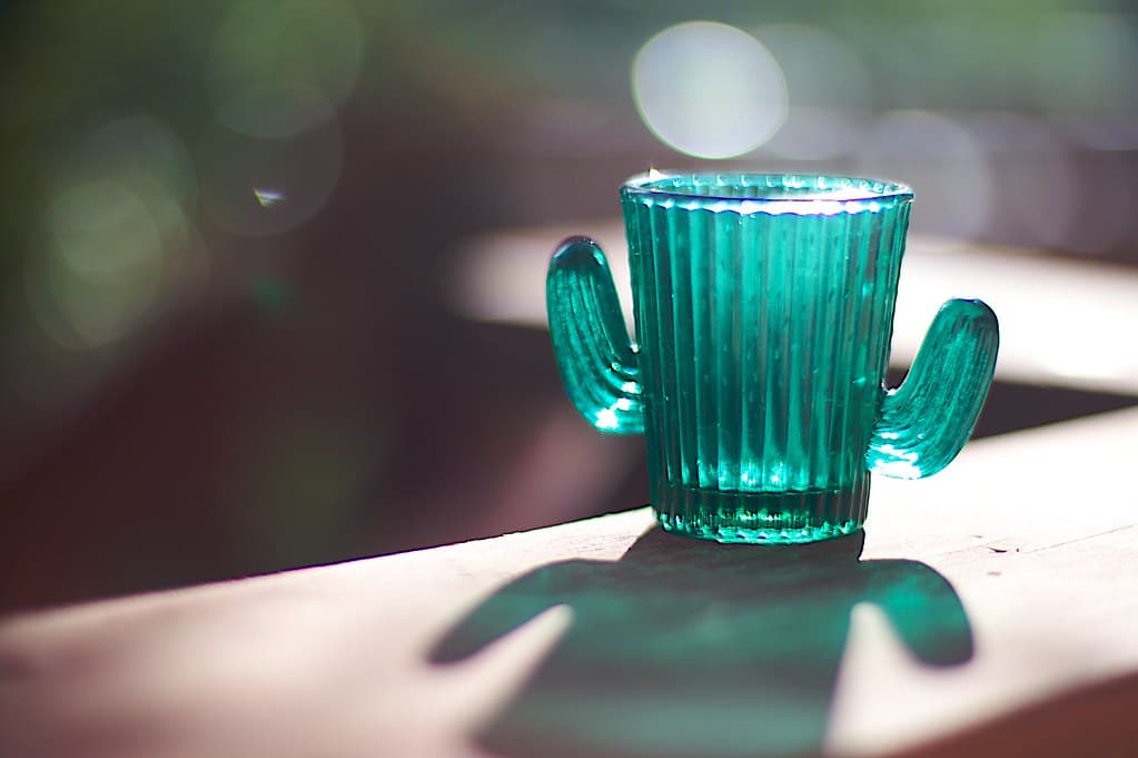 Depth of Field, Eh? Hands Up, I Got Bokeh!