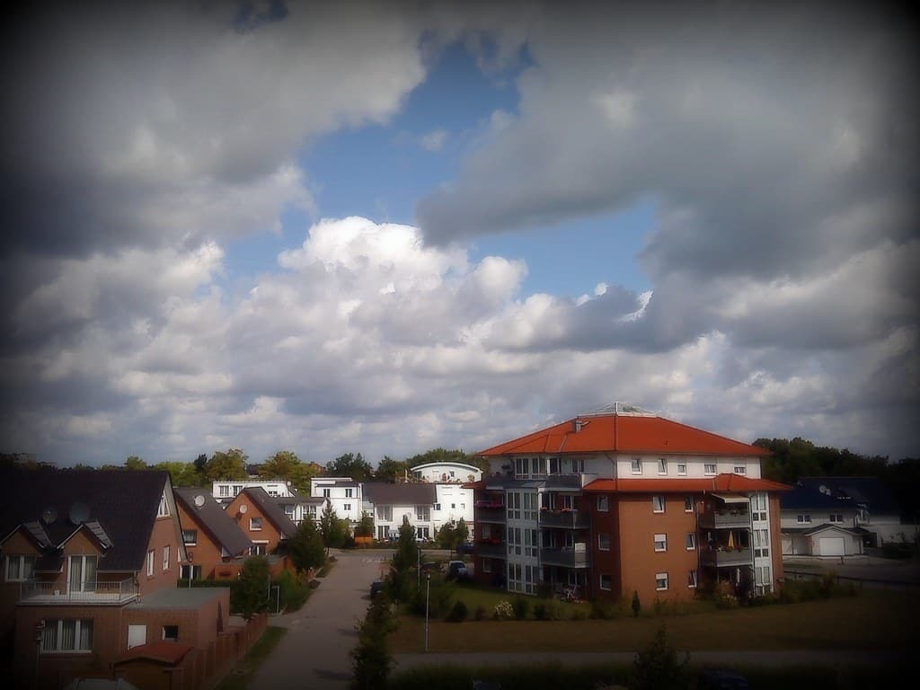 View from the Office