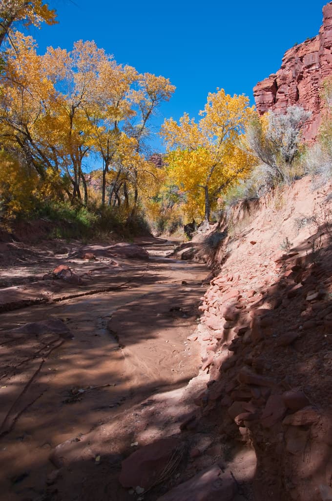 Kitchen Canyon