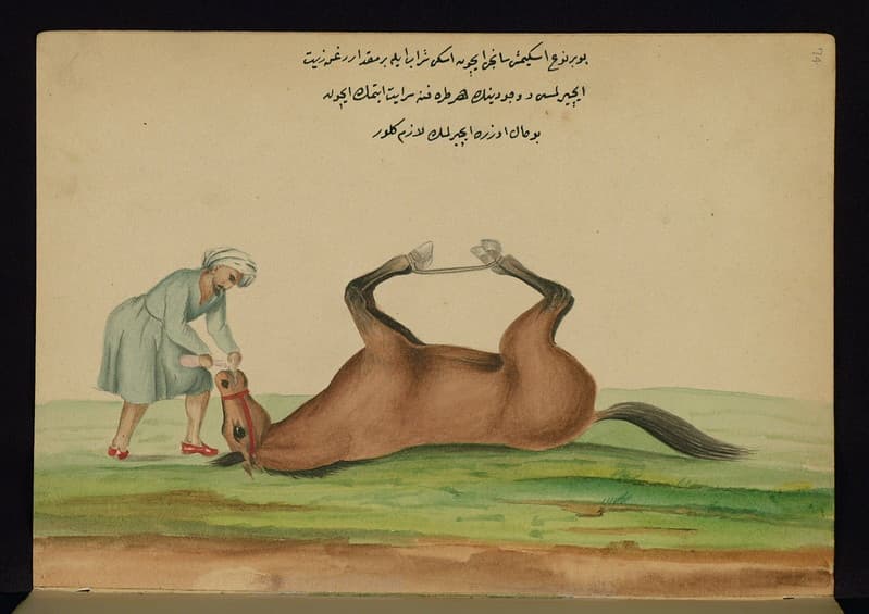Book, codex, illustration