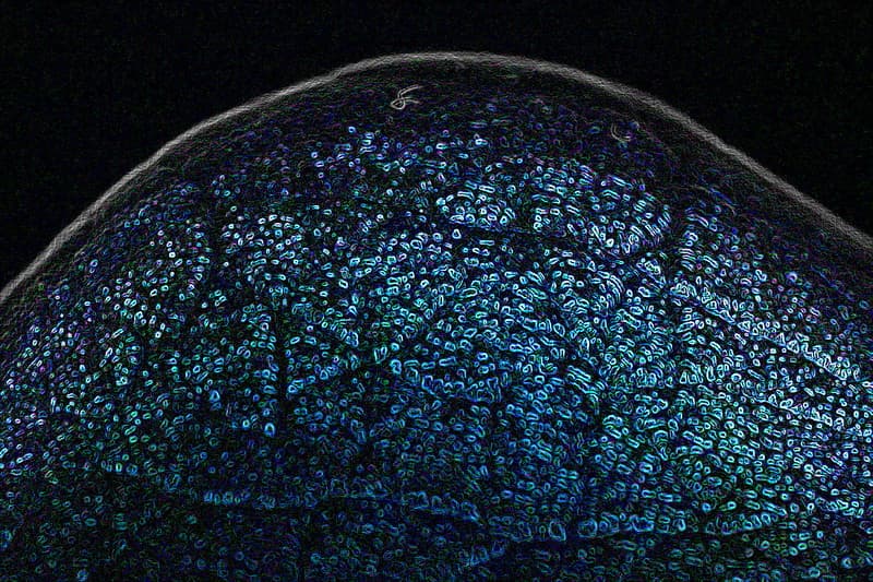 Knuckle Abstract