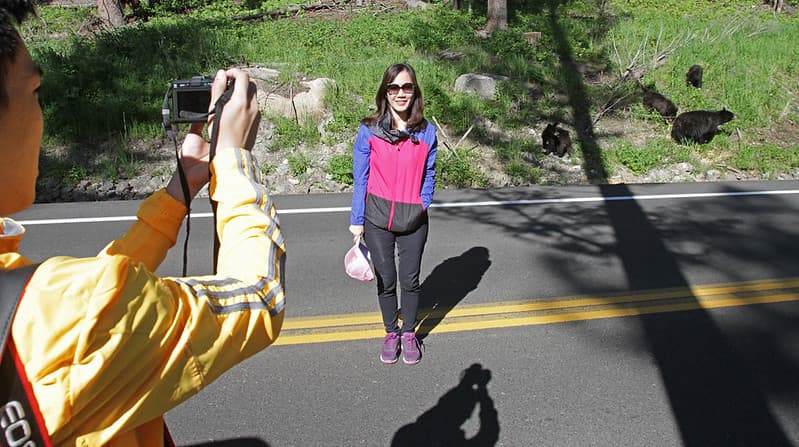 People too close to bears