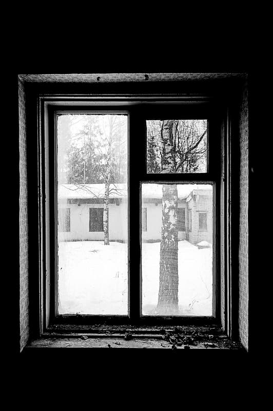 Window