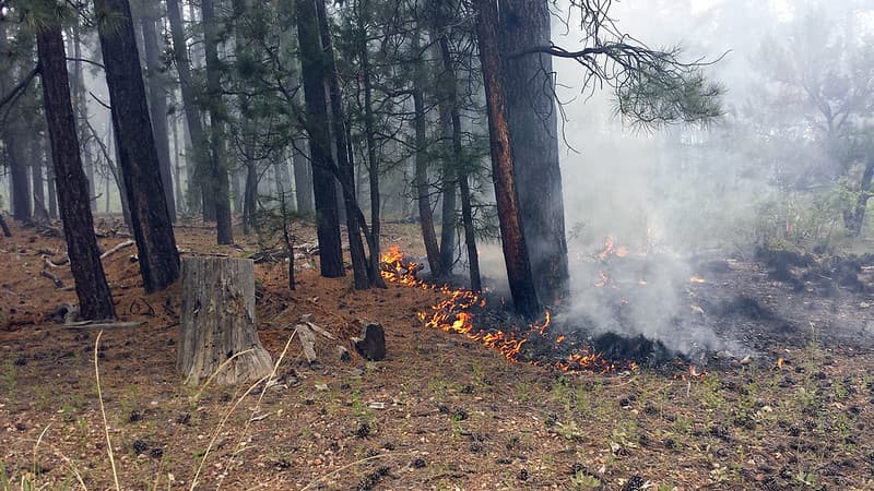 Horse Tank Managed Fire June 8, 2015
