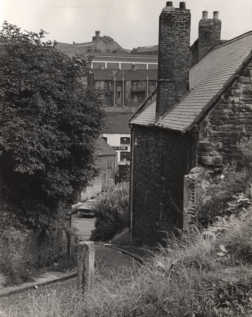 016086:Dog Bank Newcastle upon Tyne Signey J. 1967