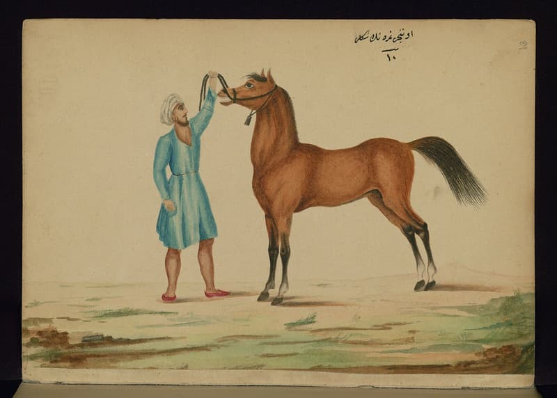 Book, codex, illustration