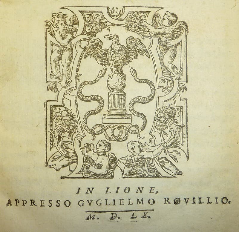 Woodcut device of Lyon printer Guillaume Rouillé