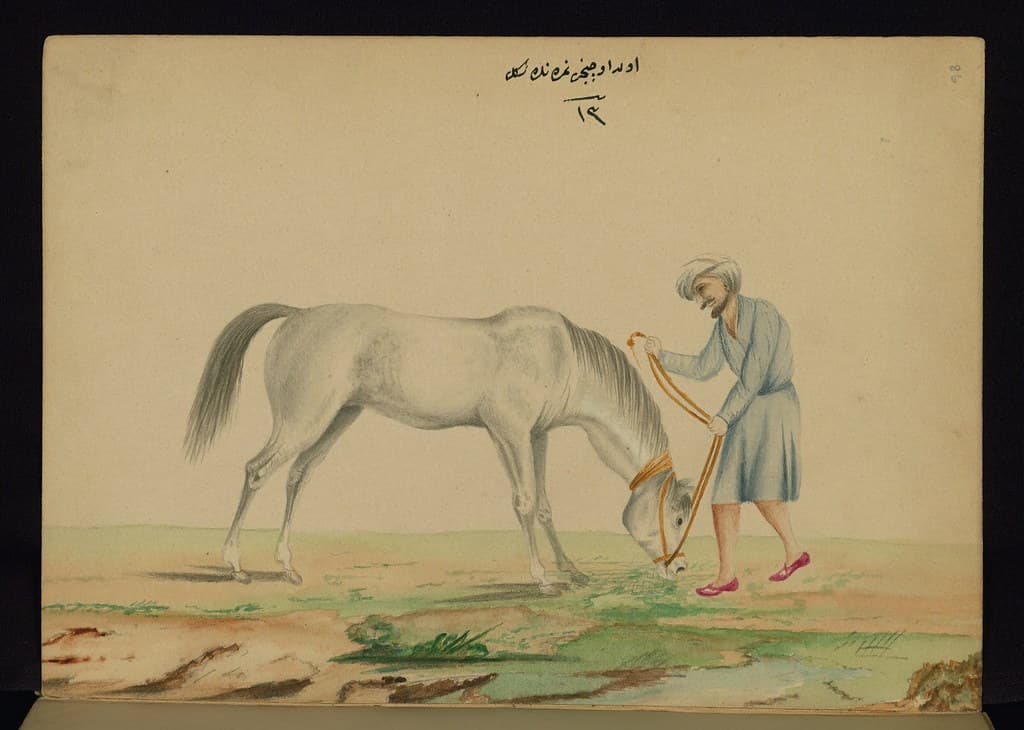 Book, codex, illustration