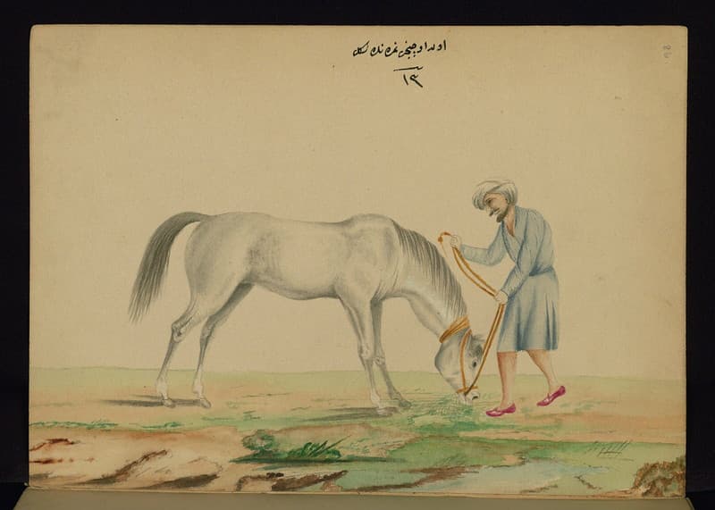 Book, codex, illustration