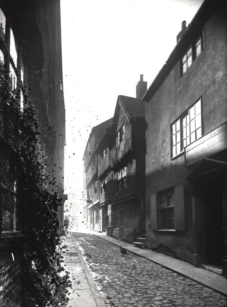043976:Dog Bank Newcastle upon Tyne Unknown 1879-1880