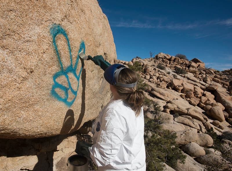 Applying Elephant Snot Graffiti Remover