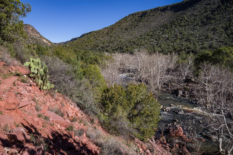 Woods Canyon Trail No. 93