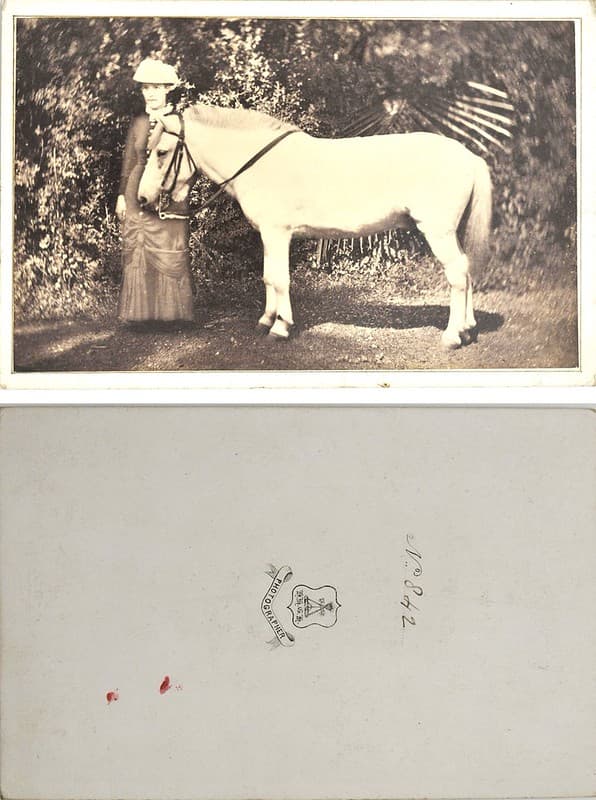 Cabinetcard