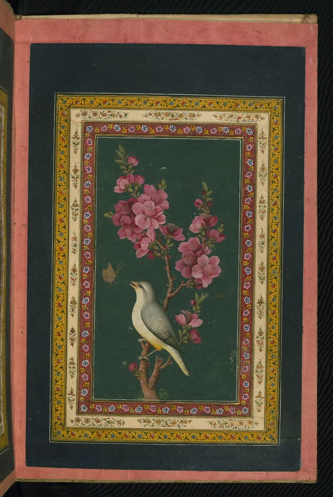 Thcentury, album, arabic