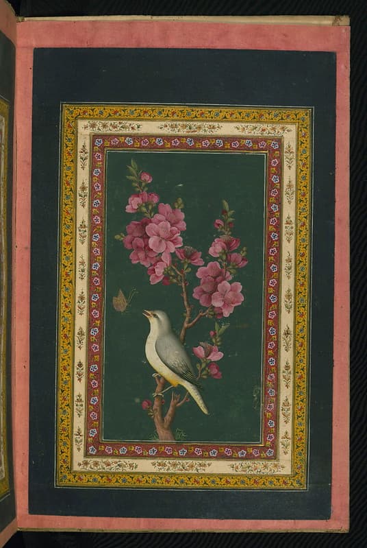 Thcentury, album, arabic