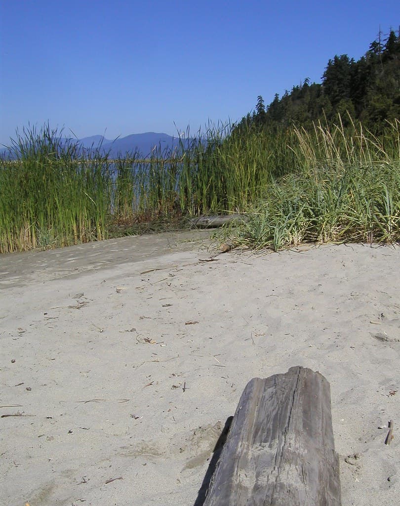 Naked Wreck Beach