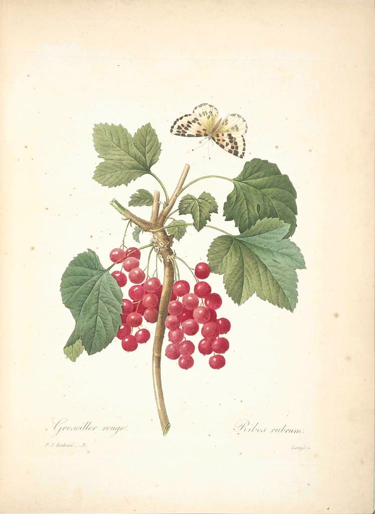 Thcentury, antique, art