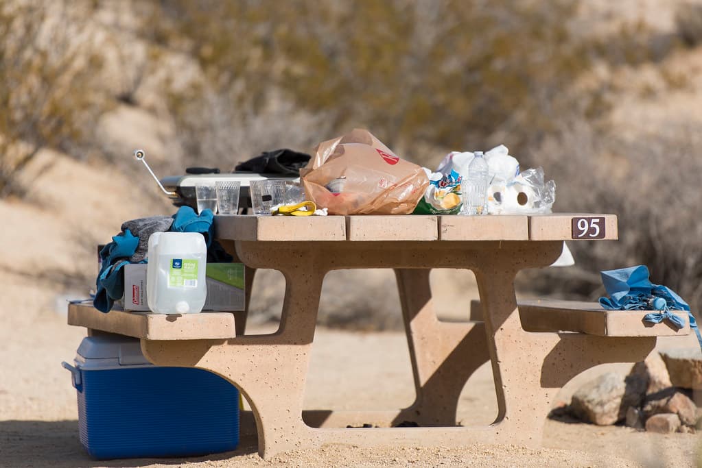 Unattended food left in a campsite
