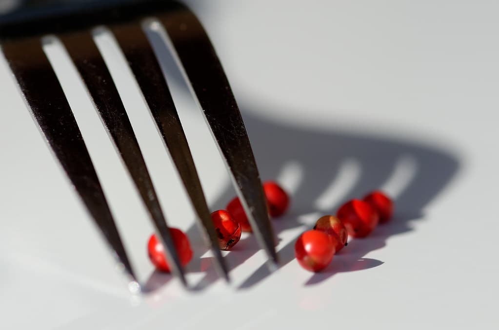 Red pepper and the shadow fork