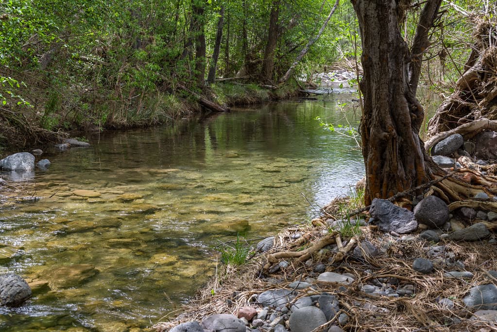 Purple Mountain on Fossil Creek