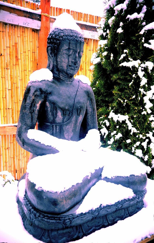 Stavenw, agardenforthebuddha, amitabhabuddha
