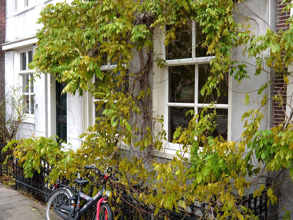 Amsterdam, city, december