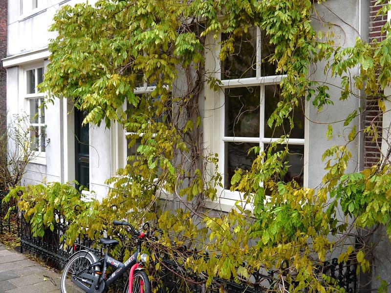 Amsterdam, city, december
