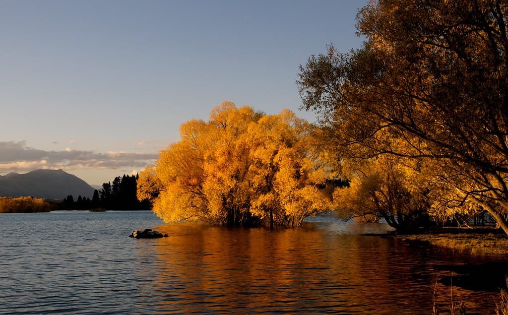Autumn at Lake Tekapo.