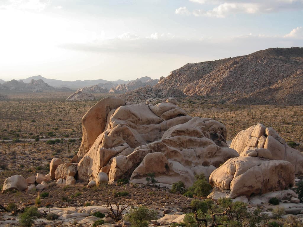 View from Ryan Mountain Trail