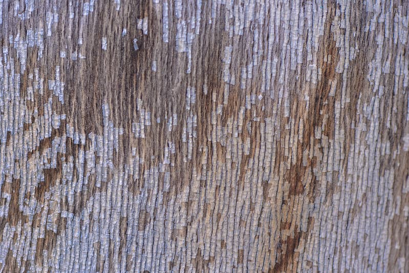 Texture