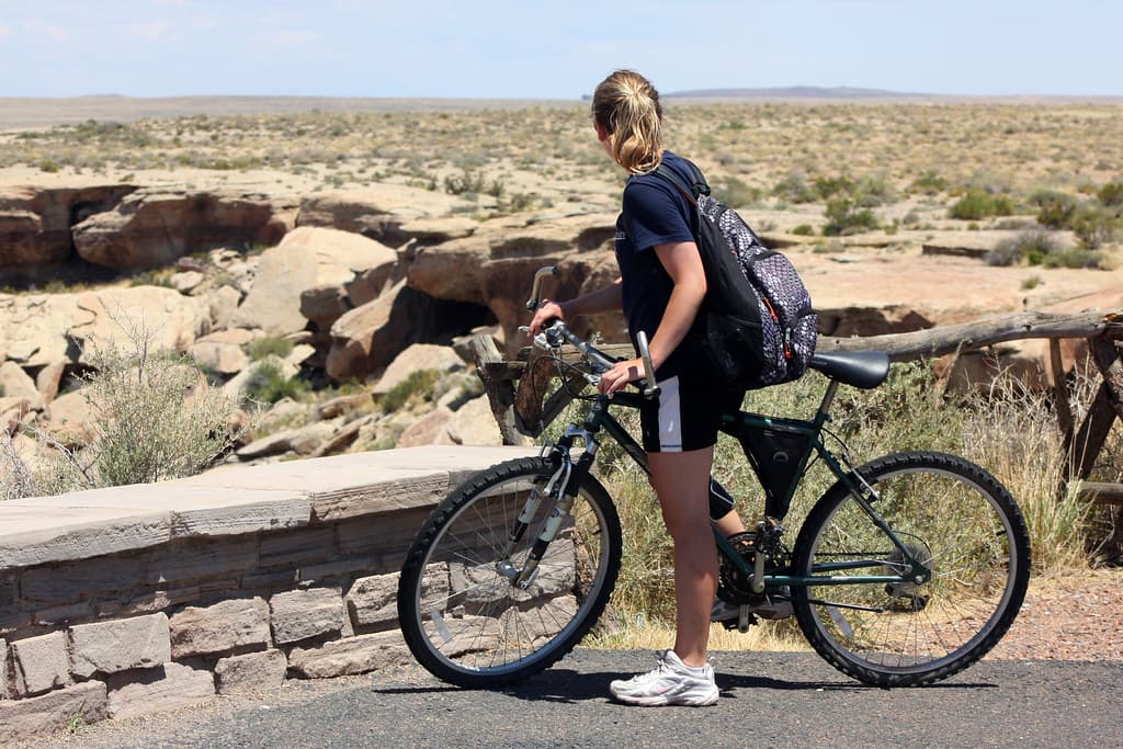 Bicycle Newspaper Rock
