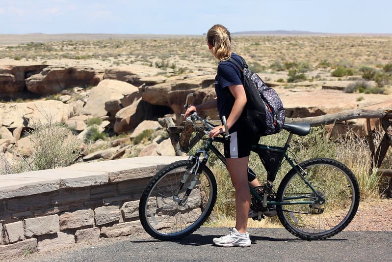 Bicycle Newspaper Rock