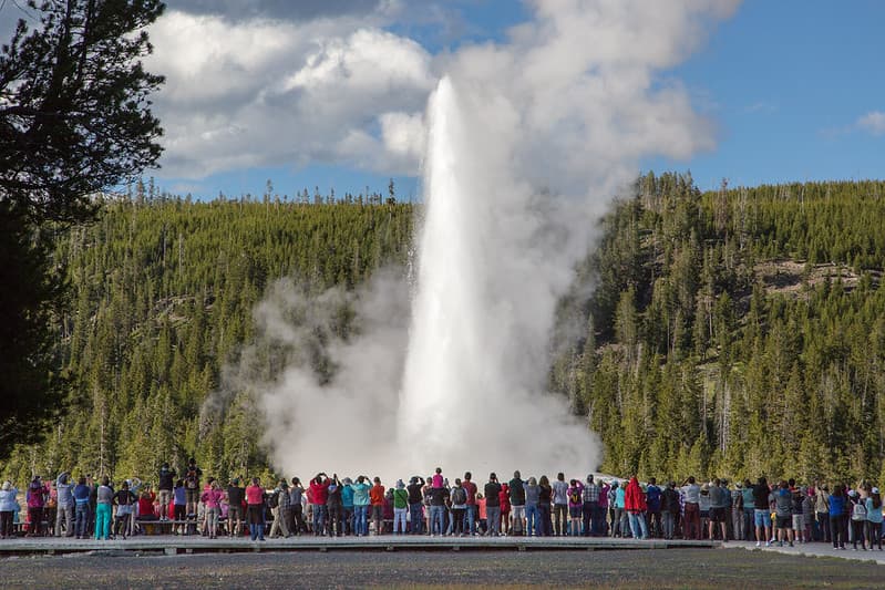 Early summer crowd at Old Faithful