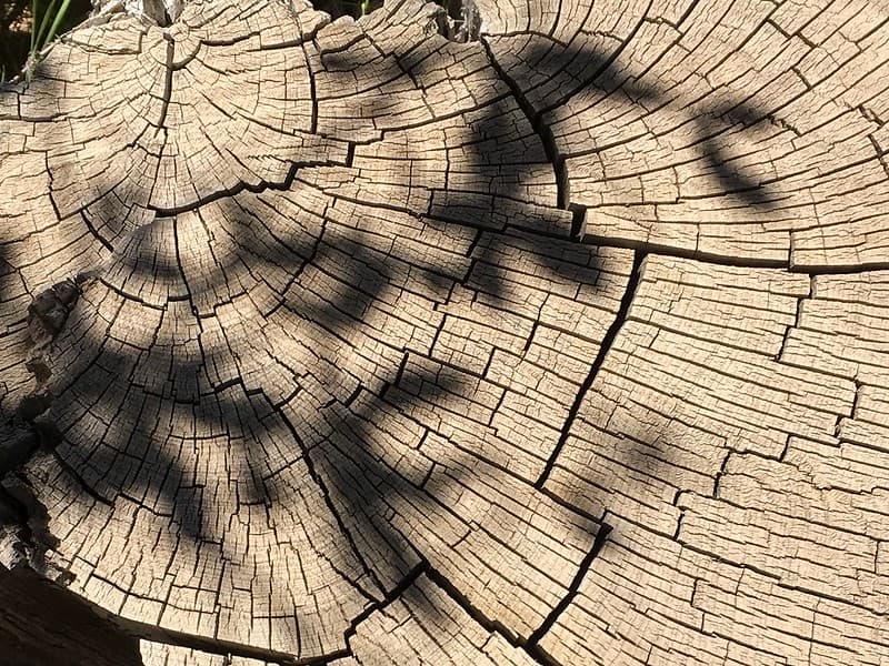 Shadow Spellng