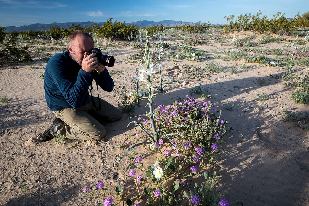 Desert Lily Preserve