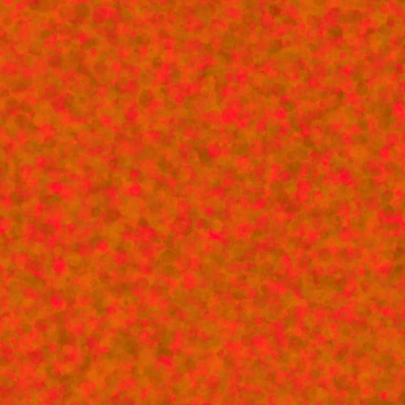 Texture