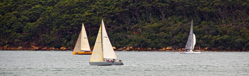 Yachts from Garden Island