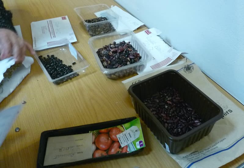 Reading Food Growing Network - bean swaps