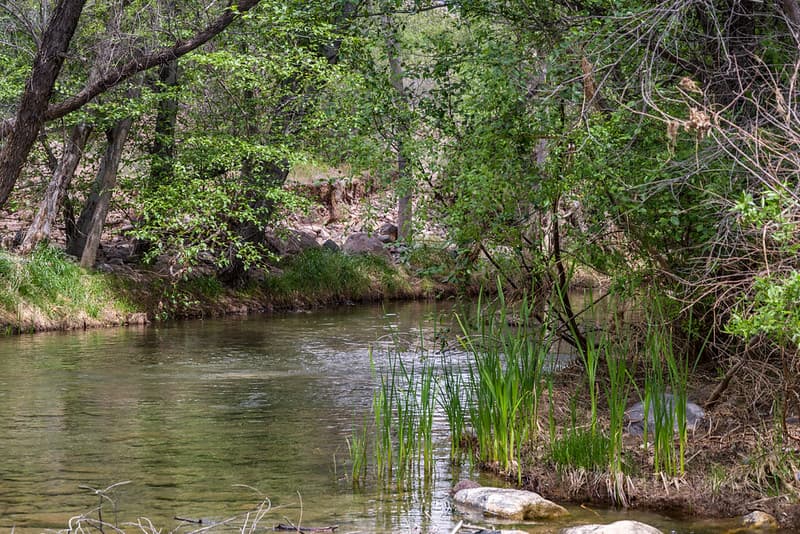 Purple Mountain on Fossil Creek