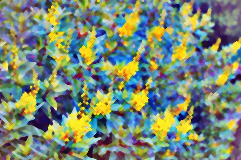 Free Texture - Colorful