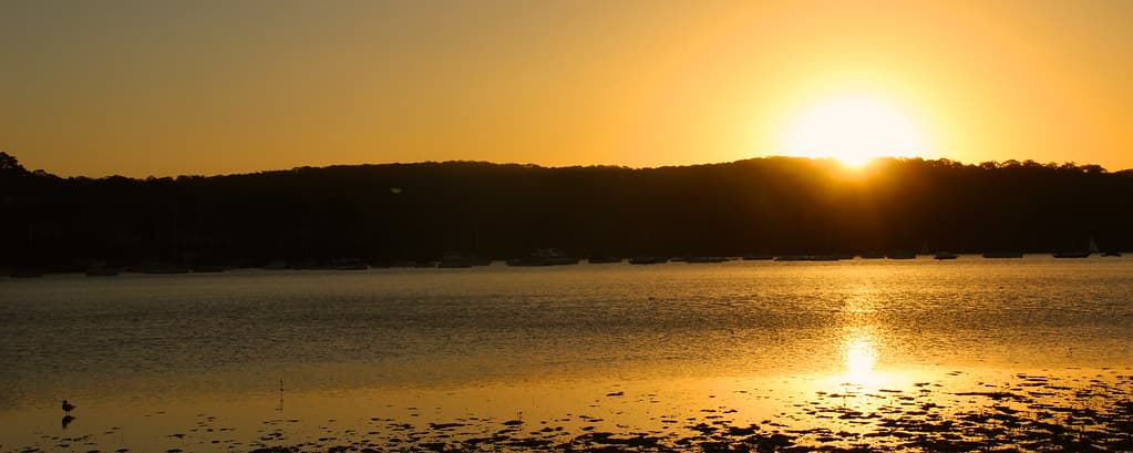 Sunset around palm beach