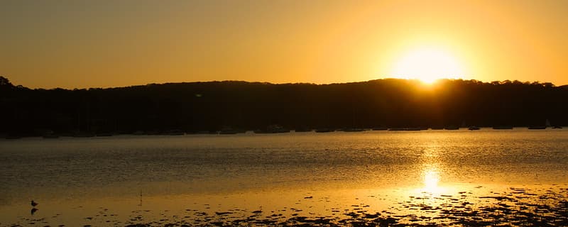 Sunset around palm beach