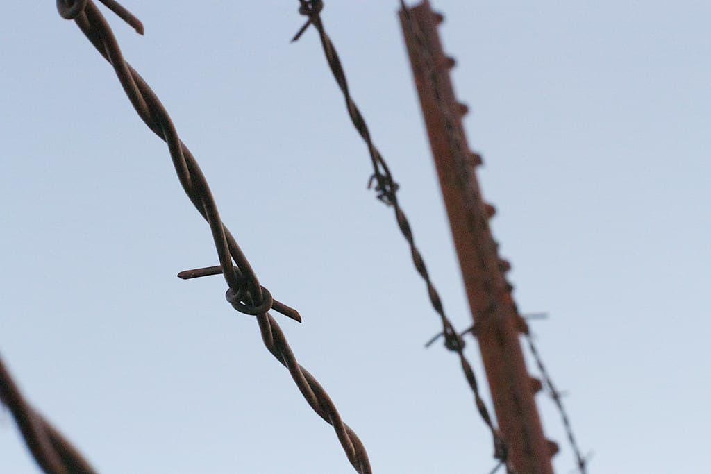 Slipping Under the Barb Wire Fence