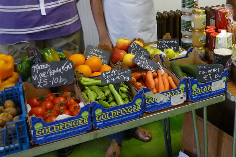 True Food Co-op at Reading Repair Cafe (2)