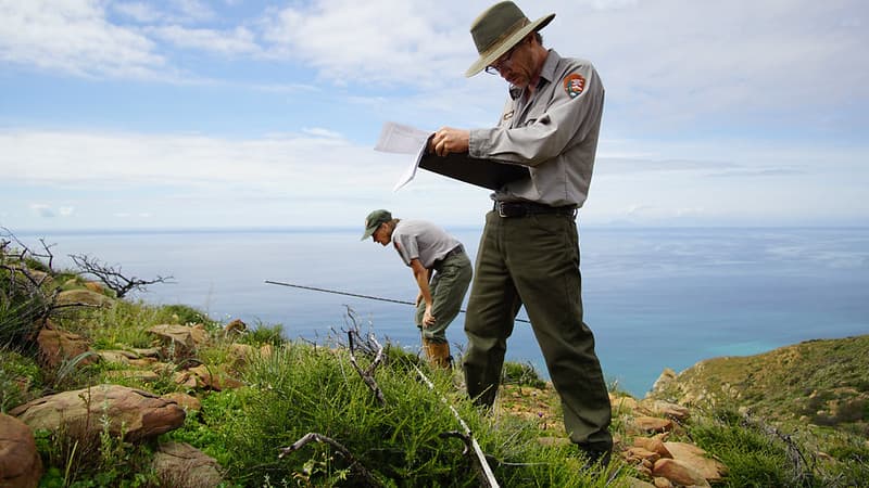 Native Plant Community Monitoring