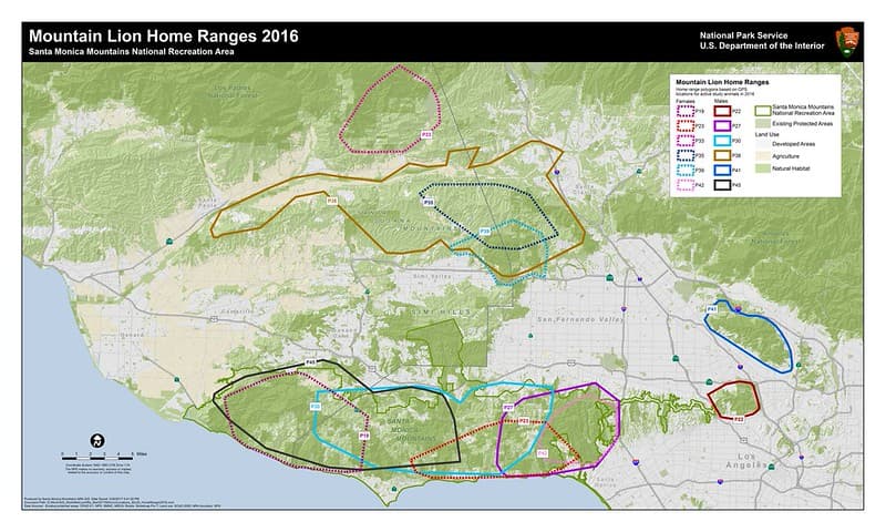 Mountain Lion Home Ranges 2016
